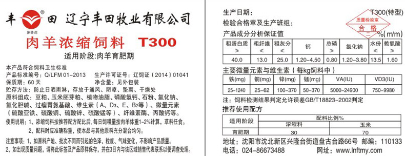 大发welcome - 首页官网登录